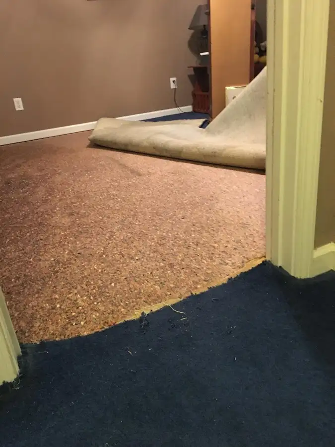 Carpet pad removal revealing water damage during Drying & Dehumidification in Littleton