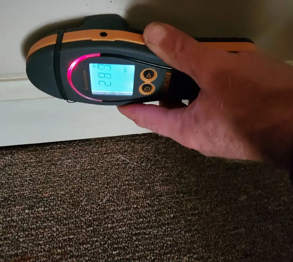 Moisture detection at baseboard during Sewage Cleanup & Sanitation in Littleton